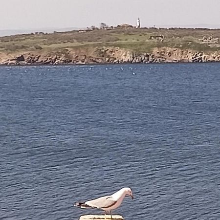 Damaris Hotel Szozopol Kültér fotó