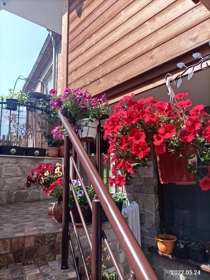 Damaris Hotel Szozopol Kültér fotó