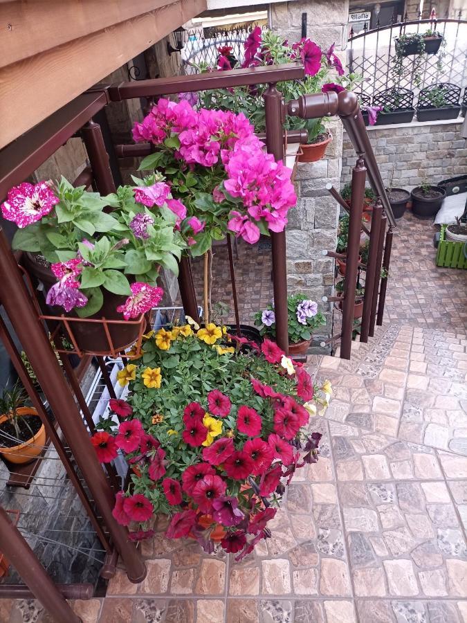 Damaris Hotel Szozopol Kültér fotó